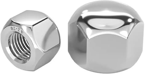 DIN917 304 Acciaio inossidabile basso tipo esagonale dadi (M8 (10 pezzi)