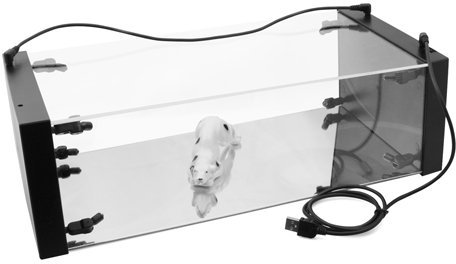 System-S LED Vitrine Display Case Box für Sammlerobjekte