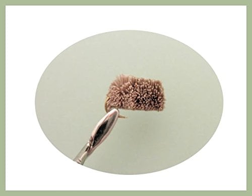 4 Stück Vokuhila/Braunes Brotangeln Fliegen Größe wählbar (8/10)