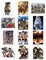 Trends International Attack on Titan Poster-Buch, 21,6 x 27,9 cm