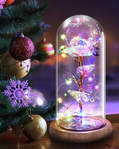 MOXTOYU Beauty and the Beast Rose Light Card, Mothers Day Decorations Rose in Glass Dome with LED Light, for Mum, Girlfriend Wife Birthday Anniversary (Galaxy)