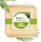 TRULY ECO Palm Leaf Plates - Bamboo Plates Disposable | Biodegradable & Eco Friendly Compostable Plates - Disposable Appetizer Plates for Party (100, 6 Square Plates)