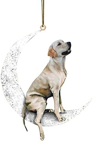 TianWlio Anhänger Dekoration Der Mond Weihnachten sitzt auf einem kreativen Hund Blumenampel Makramee Mit Topf