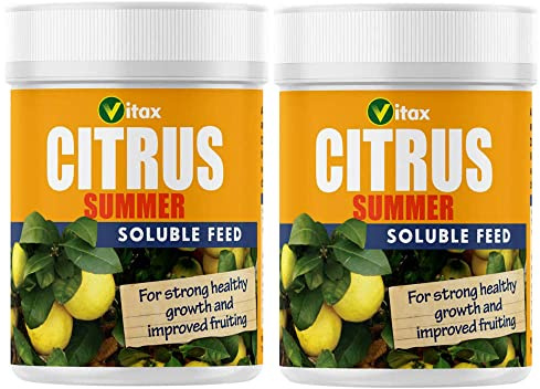 Miracle Grow Vitax Soluble Summer Fruit Feed 400g
