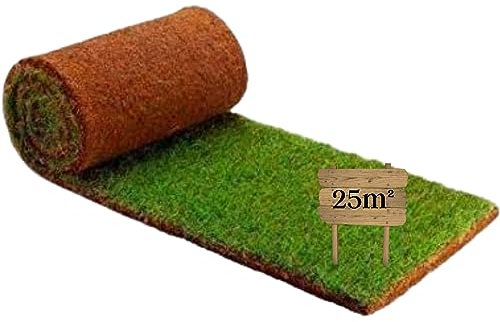 PetZolla Garden 25m² di Prato a rotoli vero per Giardini e Spazi aperti Migliora il tuo ambiente con i Rotoli erba vera Naturali al 100%, Prato pronto Versatile per Aiuole, Giardini Terrazzi e Balconi