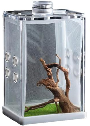 Reptil Terrarium Set, Niedriges Reptilienbecken Voller Sicht Optisch Ansprechend Reptilien Terrarium Box, Transparente Fütterungsbox Acryl, Reptil Fütterungsbox, Reptilien Aufzuchtbox