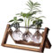 Kingbuy Pflanzenanzuchtstationen, Terrarium, Glas, Tisch-Pflanzgefäß mit Retro-Holzständer, 3 Zwiebeln, Vasen für Hydrokultur, Innenbereich, Büro, Schreibtisch, Liebhaber, Geschenke für Frauen