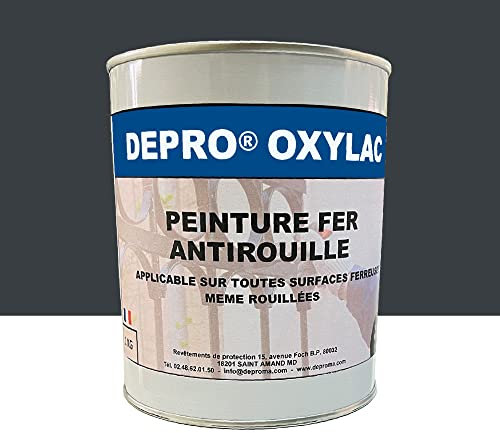 OXYLAC Peinture antirouille pour métal neuf et rouillé - 1KG (RAL 7016)
