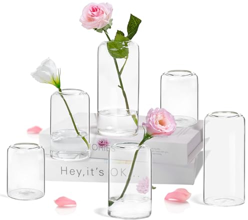 ZENS Small Glass Vase Set of 6, Stunning Small Vases for Flowers, Clear Bud Vases for Table Centerpiece, Modern Blown Tube flower vase Bulk for Wedding Party Events Decorative Home Decor