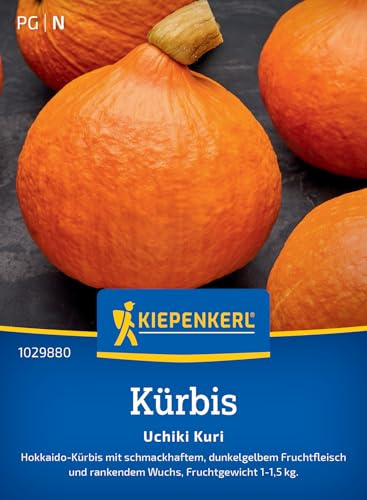 Kiepenkerl Kürbissamen Uchiki Kuri 1029880, Gemüsesaat | Dunkelgelb, rankender Wuchs, 1-1,5kg, kompakt, Früchte 1-1,5 kg, aromatisch, für Beet, Hochbeet & Freiland