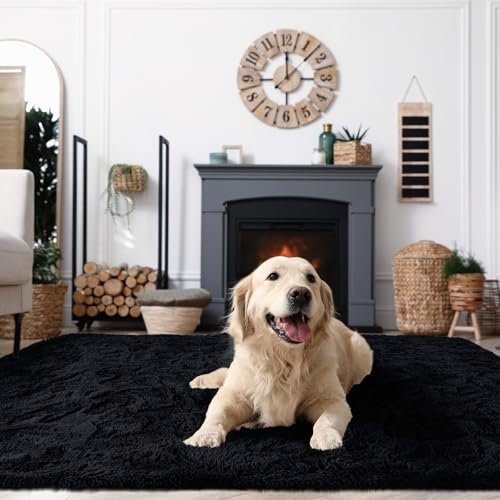 XSIVOD Flauschig Hochflor Teppich Schwarz, Waschbarer Teppich 80x160 Wohnzimmer Anti Rutsch Extra Große Teppiche Schlafzimmer Weich Moderne Teppiche Matte Teppichen für Kinderzimmer