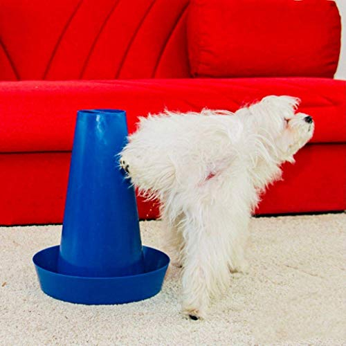 PIPPI Hundetoilette Hundepads Hundematten pflegeleichtes Hundeklo für drinnen und draußen Hunde WC für optimale Hundehygiene geruchlos Welpen Toilette Umweltfreundlich Maße 28x36 Blau