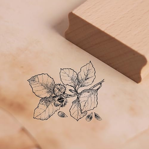 Dekolando Motivstempel Bucheckern - Buche Stempel Baum Natur Holzstempel Scrapbooking Stempeln - Abdruck 48 x 38 mm