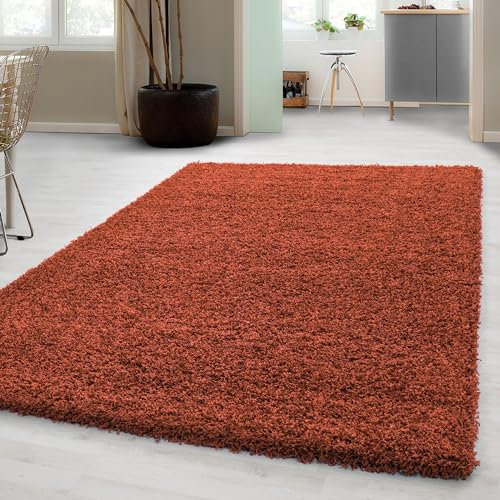 Carpetsale24 Shaggy Hochflor Teppich, 140x200 cm, Terrakotta, weich, flauschig, modern, einfarbig, Vielseitig einsetzbar im Wohnbereich, für Wohnzimmer Schlafzimmer Flur