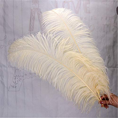 Gefärbte große Straußenfedern Pflaume DIY Hochzeit Party Tischdeko Weihnachten Karneval Dekoration Tischdeko Tischdeko Millinery 23-25 Zoll / 60-65 cm Länge, champagnerfarben, 1 Stück