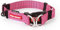 EzyDog Hundehalsband Nylon - Double Up - Hunde Halsband Stoff für Kleine, Mittelgroße und Große Hund, Reflektierend, Gepolstert, Verstellbar (M, Rosa)