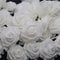 50Pezzi Rose Artificiali Finte Schiuma Rose Fiori Artificiali di Rose per DIY Matrimoni Mazzi Nuziale Festa Casa Decorazioni Bianco