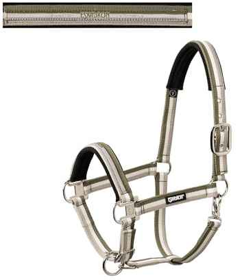 Eskadron - Halfter Mehrfarbig PIN Buckle