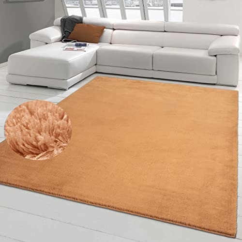 Teppich-Traum Teppich Wohnzimmer Flurläufer Gangläufer waschbar weich mit angenehmem Uni-Design in Terra 240 x 340 cm