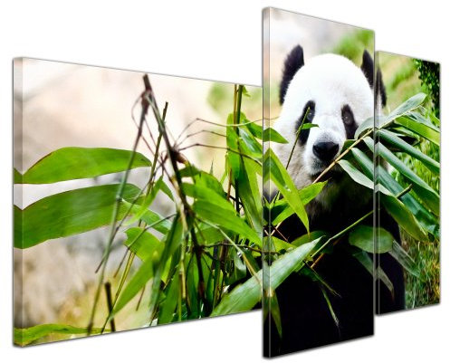 Bilderdepot24 Bild auf Leinwand | Pandabär in 130x80 cm mehrteilig als Wandbild XXL | Wand-deko Dekoration Wohnung modern Bilder | 15096