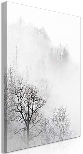 murando - Wandbilder Wald Nebel 40x60 cm Vlies Leinwandbild 1 tlg Kunstdruck modern Wandbilder Wanddekoration Design Wand Bild - schwarz weiß Bäume Natur b-B-0355-b-a