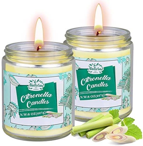 Citronella Kerze Outdoor im Glas, 2 Stück Citronella Kerzen mit Deckel, 100-120Std Brenndauer aus Sojawachs und Zitronenöl, Zitronella Kerze Set für Garten, Camping, Grillen und Urlaub, Sommergeschenk