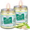 VICBAY Bougie Citronnelle Ensemble Intérieur Extérieur, 2Packs x 8.0oz, 120 Heures brûlantes, 100% Huile Essentielle de Cire de Soja Naturelle Seau en fer Portable pour Patio/Balcon/Campingugie