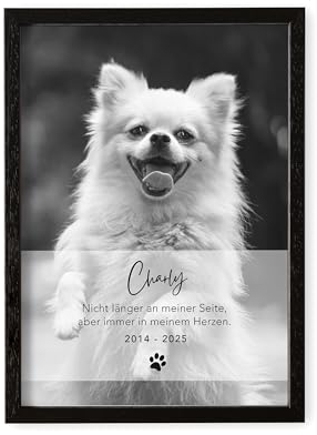 Andenken an verstorbenen Hund Bild im Stil einer Gedenktafel zur Erinnerung & Trauer personalisiert mit Foto Geschenk für Hundebesitzer mit Bilderrahmen Din A4 (Hochformat)