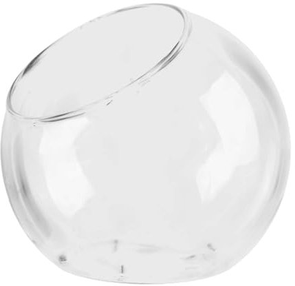 Plant Terrarium, Glass Terrarium, Display Elegant Centerpiece Decorative Transparent Design Modern Style Lightweight Build Stylish Versatile Use, Flowerpot Vase for Plant