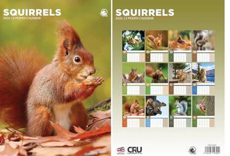 Eichhörnchen Wandkalender 2026, A3, 12 Monate tolle Fotografie