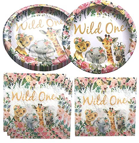 Fenghu Wild One Birthday Party Supplies, 20 Plates and 20 Napkin, Wild One Theme Birthday Party Decoration for Girl