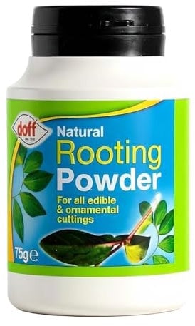 HOCHSTE® Doff Natural Rooting Powder, Rooting Hormone with Seaweed for Strong Root Growth in Cuttings, Fertiliser for Edible & Ornamental Plants, 75g