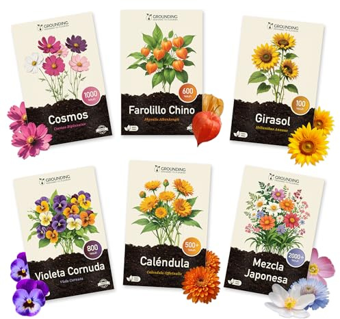 Grounding – Kit Semi Fiori “Balcone & Giardino” (6 bustine) – Physalis, Calendula, Cosmea, Viola cornuta, Girasole nano, Prato fiorito – Semina facile primavera/autunno – Qualità Europea