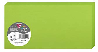 Clairefontaine 2521C Packung mit 25 Doppelkarten, gefaltet, 210g, in Format DL, 106 x 213mm, minze