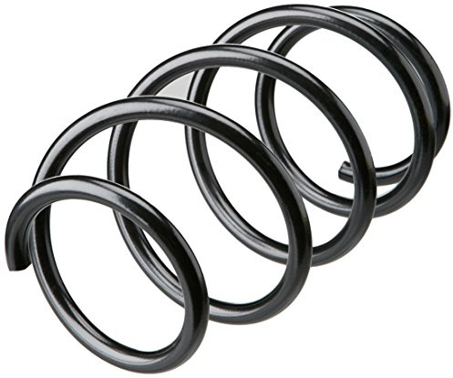 lesjofers 4072987 Coil Spring Front