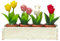 Melody Jane Maison de poupées blanche avec 4 pots de roses miniature accessoire de jardin