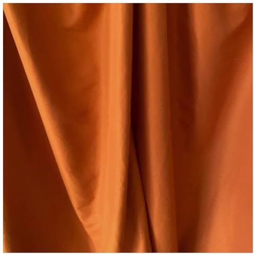 2x3m Foto Hintergründe, Fotohintergrund, Fotokulisse Schlicht Anti-Falten Fotowand Hintergrund Polyester Faltbare Hintergrundstoff für Fotografie Videoaufnahme Modefotografie (Color : Caramel, Size