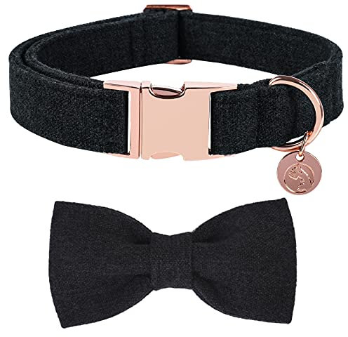DOGWONG Hundehalsband mit Abnehmbarer Fliege, Schwarz Haustierhalsband Hundefliege Geschenk für Mädchen oder Jungen Hunde, Bequeme verstellbares Hundehalsband für kleine mittelgroße Hunde