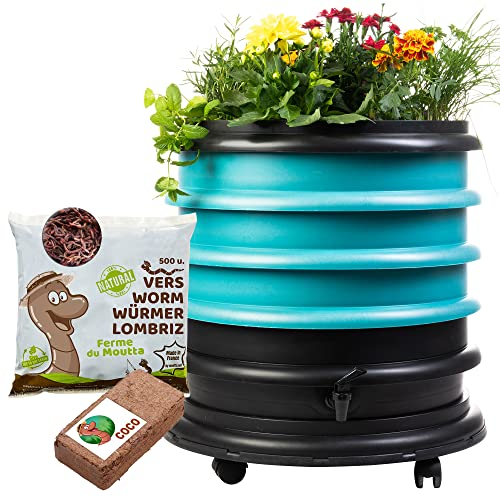 WORMbox | Wurmkomposter Wurmfarm Wurmkiste mit 3 Schalen Türkis + Pflanzgefäß + 250g Kompostwürmer / 500 STK + 1 Coco | 48 Liter | Regenwurmkomposter, Kompostwürmer produzieren Wurmhumus