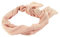 TOMMY HILFIGER Essential Flag Scarf Sepia Pink
