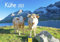 Edition Seidel Premium Kalender Kühe 2025 Format DIN A3 Wandkalender Kuhkalender Kuh Rind Kalb heimische Tiere Bauernhof