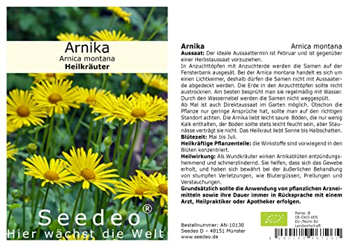 Seedeo® Arnika (Arnica montana) ca. 50 Samen BIO