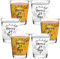 Bisyata 21st Birthday Shot Glass Gift Set for Women and Men - 21 Birthday Party Decorations for Her or Him - Cheers to 21 Years CLEAR Shot Glasses - 2oz Set of 6 - With Gift Box