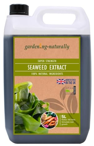 Seaweed Liquid Fertiliser Plant Food for Fruit, Vegetables or Flowers Natural and Organic Plant Feed Makes 500 Litres (5 Litres)