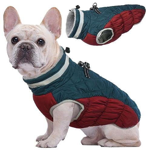 Kuoser Winter Hundejacke für mittelgroße Hunde – Wasserdichter & Winddichter Hundemantel mit Fleecefutter, Reißverschluss, D-Ring & Reflektoren – Warme Outdoor Hundebekleidung für Herbst & Winter, M