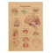 Wudaizhi Anatomisches Kraftpapier-Poster, Lernen der menschlichen Gehirnanatomie, erläuterndes Diagramm-Poster, Vintage-Wandaufkleber, Heim-Bar-Café-Klassenzimmer-Dekor
