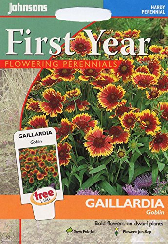 johnsons seeds - Pictorial Pack - Fiore - Gaillardia Goblin - 100 Semi