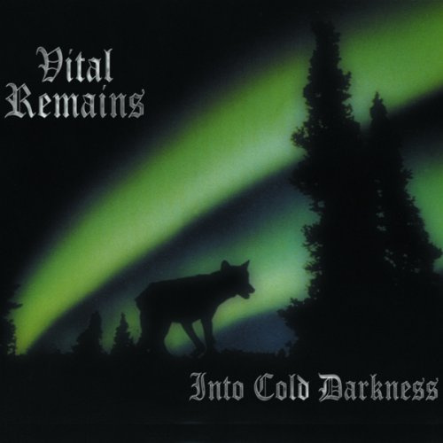 Into Cold Darkness ( Lp )