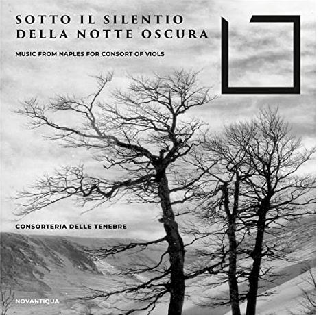 Sotto il Silentio della Notte Oscura