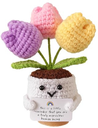 KEWUF Tulipano tascabile con abbraccio, serie di patate positive, portafortuna all'uncinetto, regali di pronta guarigione, certificati d'esame, regali di compleanno per amici e colleghi